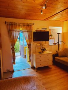 Μια τηλεόραση ή/και κέντρο ψυχαγωγίας στο Bergblick Apartments - Natur & Panorama in Bad Ischl