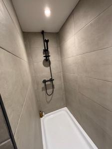 Ένα μπάνιο στο Otter Hollow - a spacious central apartment +6 φωτογραφίες