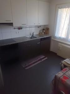 Kuchyň nebo kuchyňský kout v ubytování Le petit coin valaisan