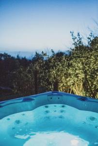 una piscina azul de agua con árboles en el fondo en Forrest House, en Doboj