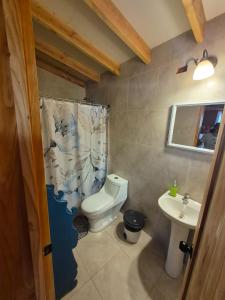 a bathroom with a toilet and a sink at Cabañas el Chañar in San Pedro de Atacama