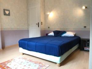 a bedroom with a bed with a blue blanket at Gîte le Lynx in Passenans