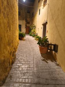 an alley with potted plants on the side of a building at 300 year old Townhouse near Mdina in Rabat