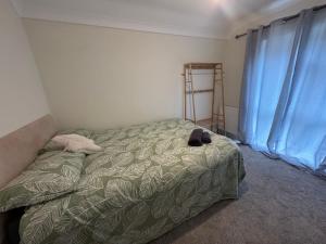een slaapkamer met een bed met een groen dekbed en blauwe gordijnen bij Quarto privativo em uma casa com outros quartos e banheiro compartilhado in Peterborough +3 foto's