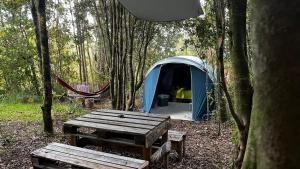 a blue tent with a picnic table and a bench at Ko Glamping in Valdivia