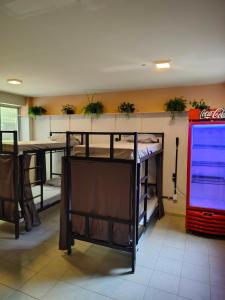 Galería fotográfica de JUNGLE STATION - Hostel en Belém