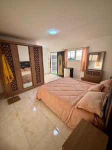 a bedroom with a large bed and a large mirror at petra towering rock in Wadi Musa