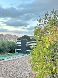 a black and white building in a yard at petra towering rock in Wadi Musa +133 photos