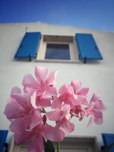 Gallery image of Villa Brigida in Carloforte