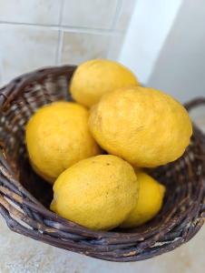 Jídlo v prázdninového domu nebo okolí