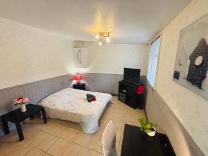 a small bedroom with a bed and a television at Le petit studio cosy - 30m2 in Le Breuil