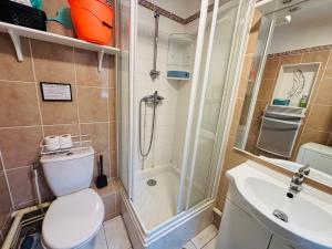a bathroom with a shower and a toilet and a sink at Le petit studio cosy - 30m2 in Le Breuil
