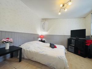 a bedroom with a bed and a flat screen tv at Le petit studio cosy - 30m2 in Le Breuil