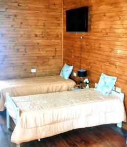 two beds in a room with wooden walls at ELLA CON El MAR in Mar del Plata