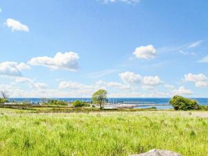 a field of grass with the ocean in the background at 6 person holiday home in Augustenborg in Augustenborg