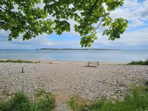 a bench sitting on a beach near the water at 4 star holiday home in Aabenraa in Aabenraa