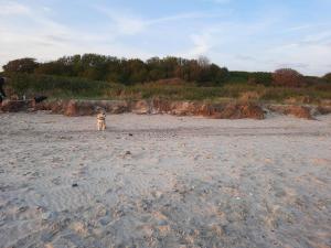 Příroda nedaleko prázdninového domu