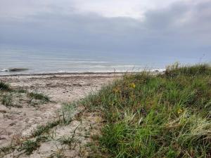 Příroda nedaleko prázdninového domu