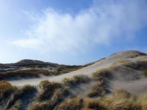 リンケビングにある8 person holiday home in Ringkøbing-By Traumの野原の真ん中にある砂丘 +27枚の写真