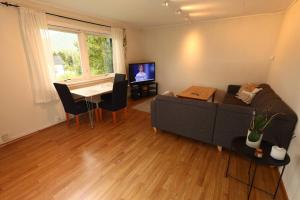 TV a/nebo společenská místnost v ubytování Close to city center, 1.2 km, 1-bedroom, nice view