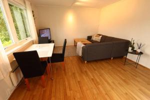 TV a/nebo společenská místnost v ubytování Close to city center, 1.2 km, 1-bedroom, nice view