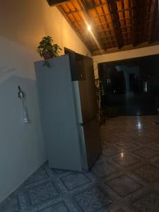 Un refrigerador con una planta en maceta encima. en Hostel Franca, en Montes Claros