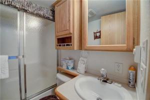 un bagno con lavandino, doccia e WC di #160 Tiger Run a Gold Hill Altre 5 foto