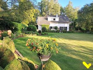 a house with a potted plant in the yard at Wezelhoeve in Balen