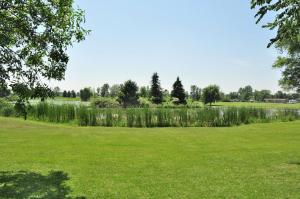 a field with a pond and trees in the background at Fremont RV Campground Loft Cabin 1 in Fremont +2 photos