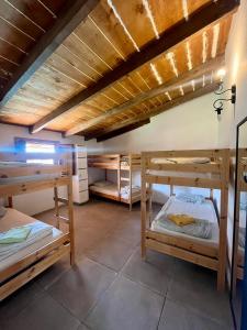 a room with several bunk beds in it at The Tree House Camp in Adeje