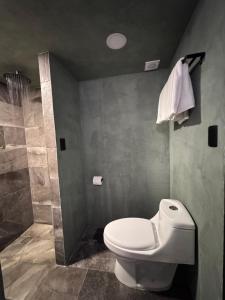 a bathroom with a toilet and a shower at Lusitania Suites in Orizaba +34 photos
