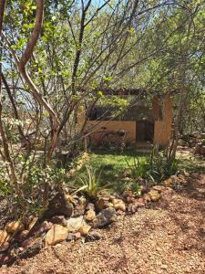 ein kleines Haus inmitten eines Gartens in der Unterkunft Casa Ecológica in Rio de Contas + 15 Fotos