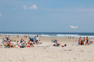 un gran grupo de personas en una playa en Moody Beach Camping Resort Wheelchair Accessible Park Model 15, en Moody