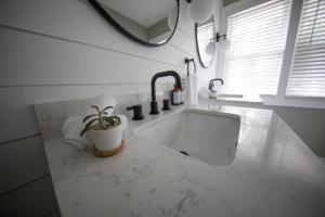 ein Badezimmer mit einem Waschbecken und einer Topfpflanze auf einer Theke in der Unterkunft Unwind at this Modern Bethel Village Escape in Bethel + 48 Fotos