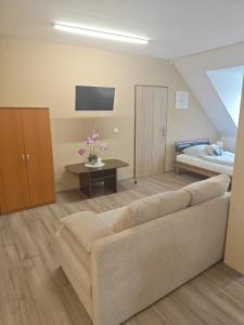 ein Wohnzimmer mit einer Couch und einem Bett in der Unterkunft Apartmány Zámecká in Roudnice nad Labem