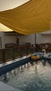 a swimming pool with swans and ducks in the water at اكواخ روزڤيو الفندقيه Roseview Cottages in Taif