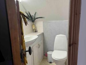 Ένα μπάνιο στο Historic Country Home in Alberga +25 φωτογραφίες