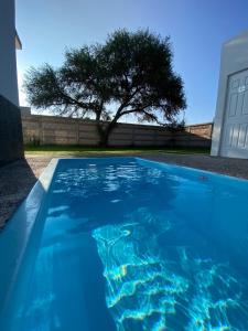 una piscina azul con un árbol en el fondo en Casa Mezquite, en Tequisquiapan