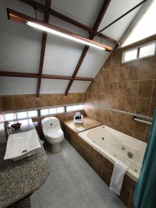 a bathroom with a toilet and a bath tub at Chalet Gardel in San Francisco