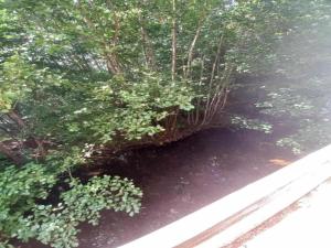 Fotografie z fotogalerie ubytování Nice Chalet with sauna in Vosges v destinaci Saint-Maurice-sur-Moselle + 69 fotografií