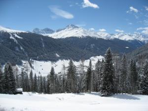 Paesaggio naturale nelle vicinanze dell'appartamento