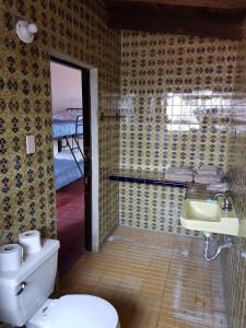 ein Bad mit einem WC, einem Waschbecken und einem Bett in der Unterkunft Casa Grande, Casita, Gran Jardín, Juegos para 19 personas en el Pueblo in Valle de Bravo + 40 Fotos