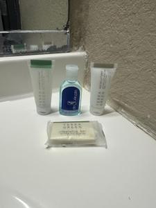 Billede fra billedgalleriet på Rodeway Inn i Webster + 36 billeder