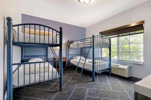 two bunk beds in a room with blue walls at Wyndham Garden Appleton in Appleton
