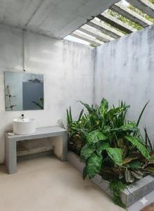 a bathroom with a sink and some plants at Jungle Baum Villa Habarana in Hiriwadunna