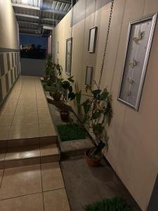 Φωτογραφία από το άλμπουμ του Platinum Hotel σε Τεγουσιγάλπα +35 φωτογραφίες