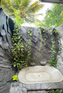 Aed väljaspool majutusasutust Ama Eco Lodge