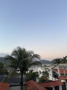 un palmier au milieu d'une ville dans l'établissement Apartamento aconchegante na Praia de Piratininga em Niterói, à Niterói