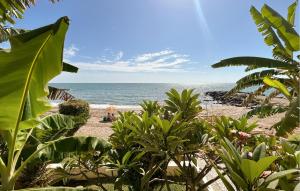 a beach with plants and the ocean in the background at 1 Bedroom Lovely Apartment In Benalmadena in Torremuelle +10 photos