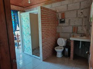 a bathroom with a mirror and a toilet and a sink at Villa Colibri in Tequisquiapan
